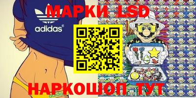 стафф Кинель