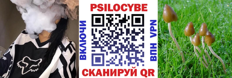 Псилоцибиновые грибы Magic Shrooms  наркотики  Камень-на-Оби 