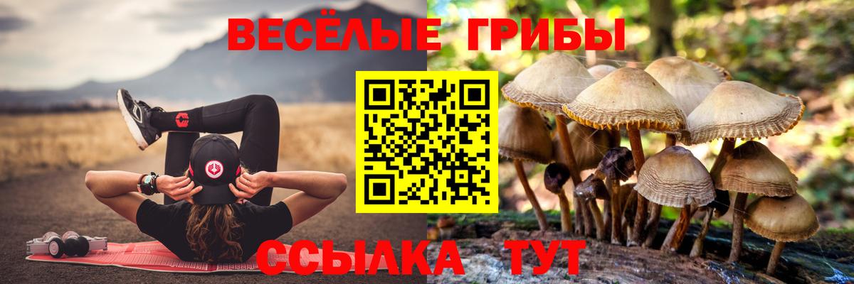 Псилоцибиновые грибы Psilocybe  Галлюциногенные грибы прущие грибы  Вход с VPN  Камень-на-Оби 