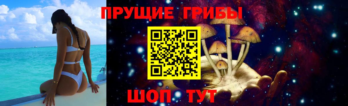 Галлюциногенные грибы Psilocybine cubensis Камень-на-Оби